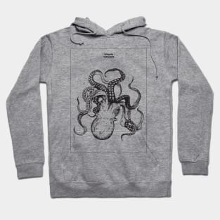 Octopoda Hoodie